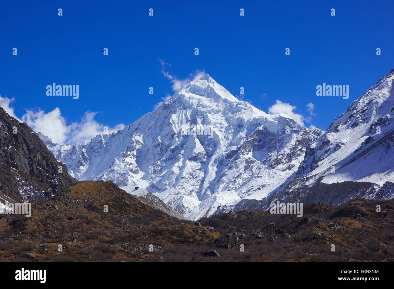 Dorje Lhakpa da Langshisa Kharka, Nepal, Langtang Himal Foto Stock