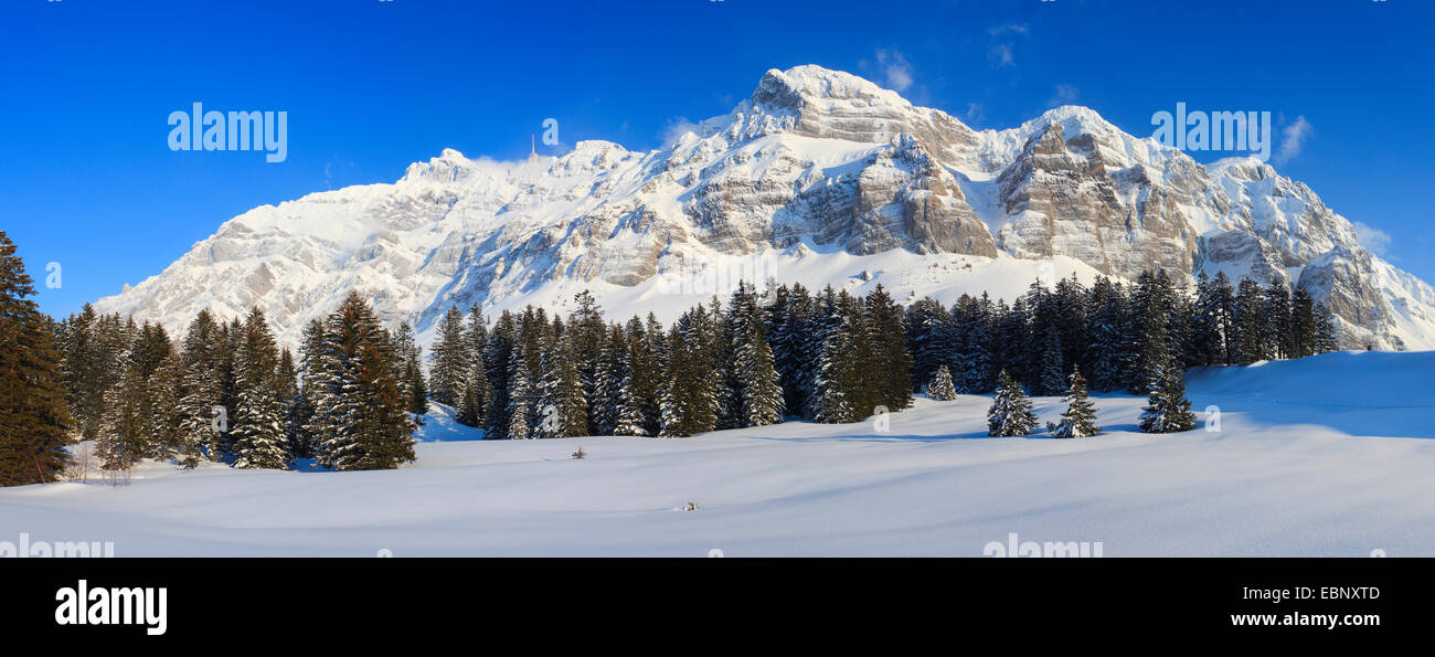 Vista Saentis in inverno, la montagna più alta del massiccio Alpstein , svizzera, Appenzell Foto Stock