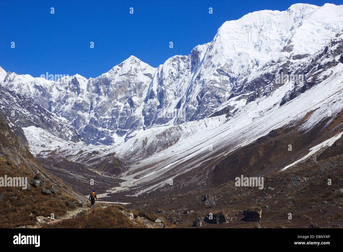 Escursionista in Langtang Valley vicino a Langshisa Kharka, in background punto 6480 e Pemthang Dampa Ri, Nepal, Langtang Himal Foto Stock