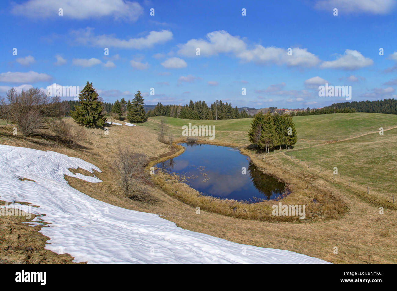 Campo di neve e laghetto collinare in prati, in Germania, in Baviera, Oberbayern, Alta Baviera, Schwarzenbach Wildsteig Foto Stock