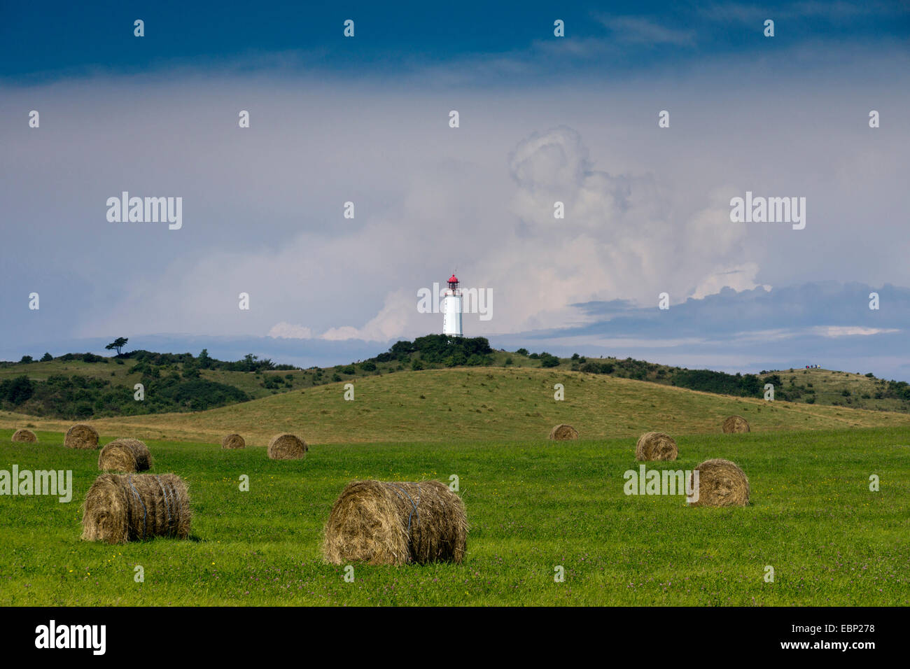 Haybales in un prato con il faro di Hiddensee in background, Germania, Meclemburgo-Pomerania, Hiddensee Dornbusch, Foto Stock