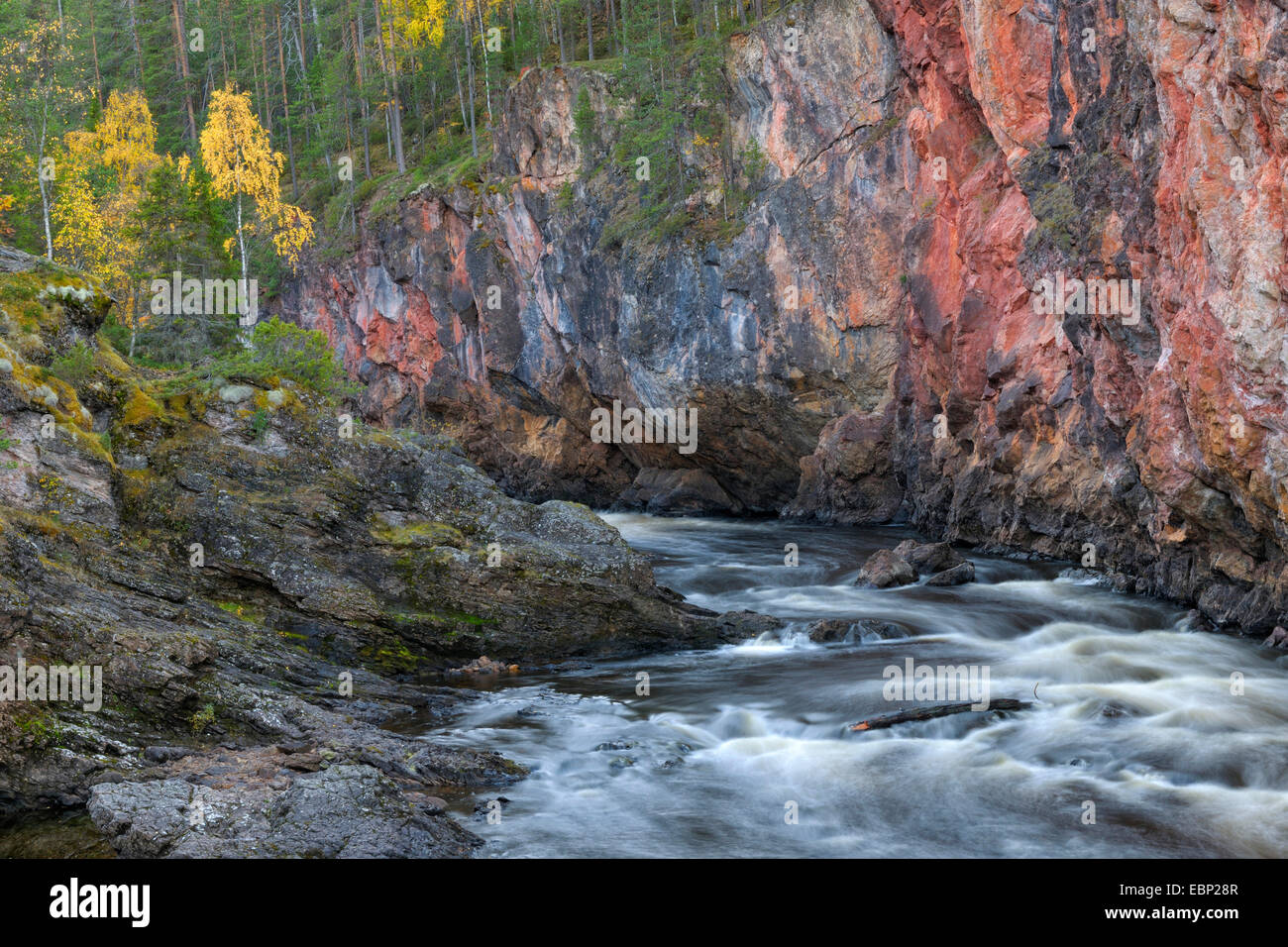Autunno a Oulanka National Park, Finlandia, Oulanka National Park Foto Stock