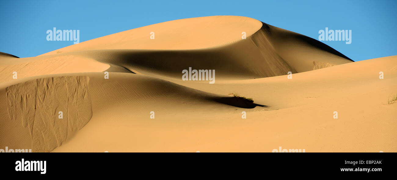 Paesaggio di dune al Sonny Bono Salton Sea National Wildlife Refuge, Stati Uniti, California, Sonny Bono Salton Sea National Wildlife Refuge Foto Stock