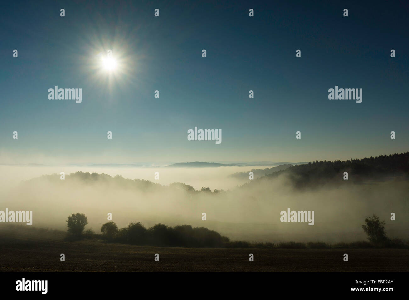 Sole di mattina su una nebbiosa vally in autunno, in Germania, in Sassonia, Vogtland Foto Stock