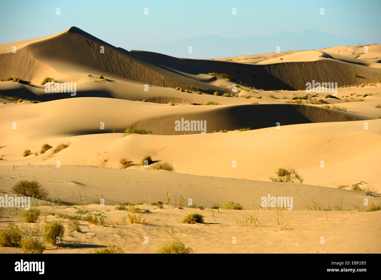 Paesaggio di dune al Sonny Bono Salton Sea National Wildlife Refuge, Stati Uniti, California, Sonny Bono Salton Sea National Wildlife Refuge Foto Stock