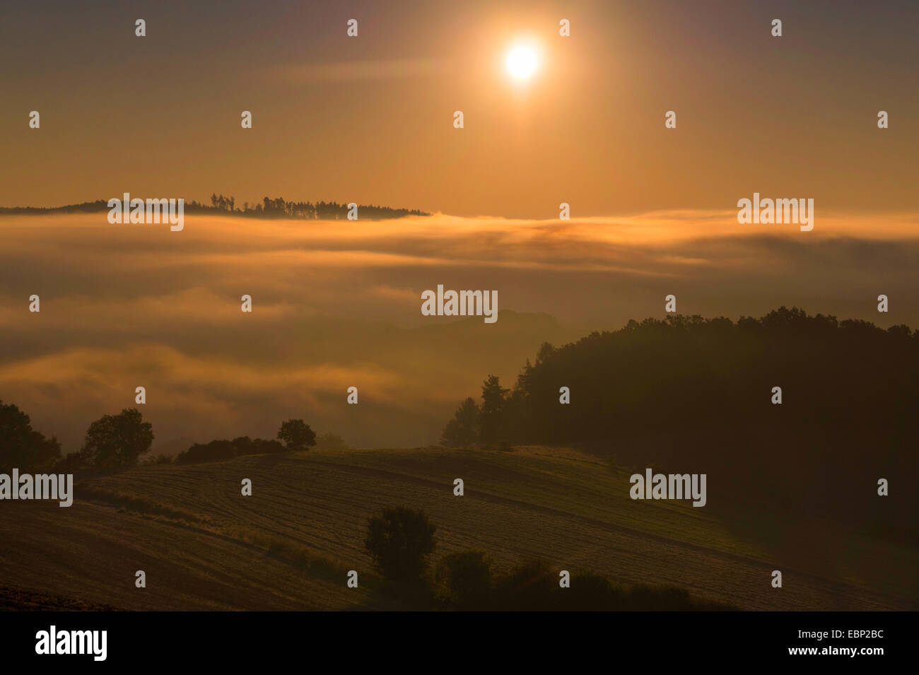 La nebbia in una vallata a sunrise, in Germania, in Sassonia, Vogtland, Plauen Foto Stock