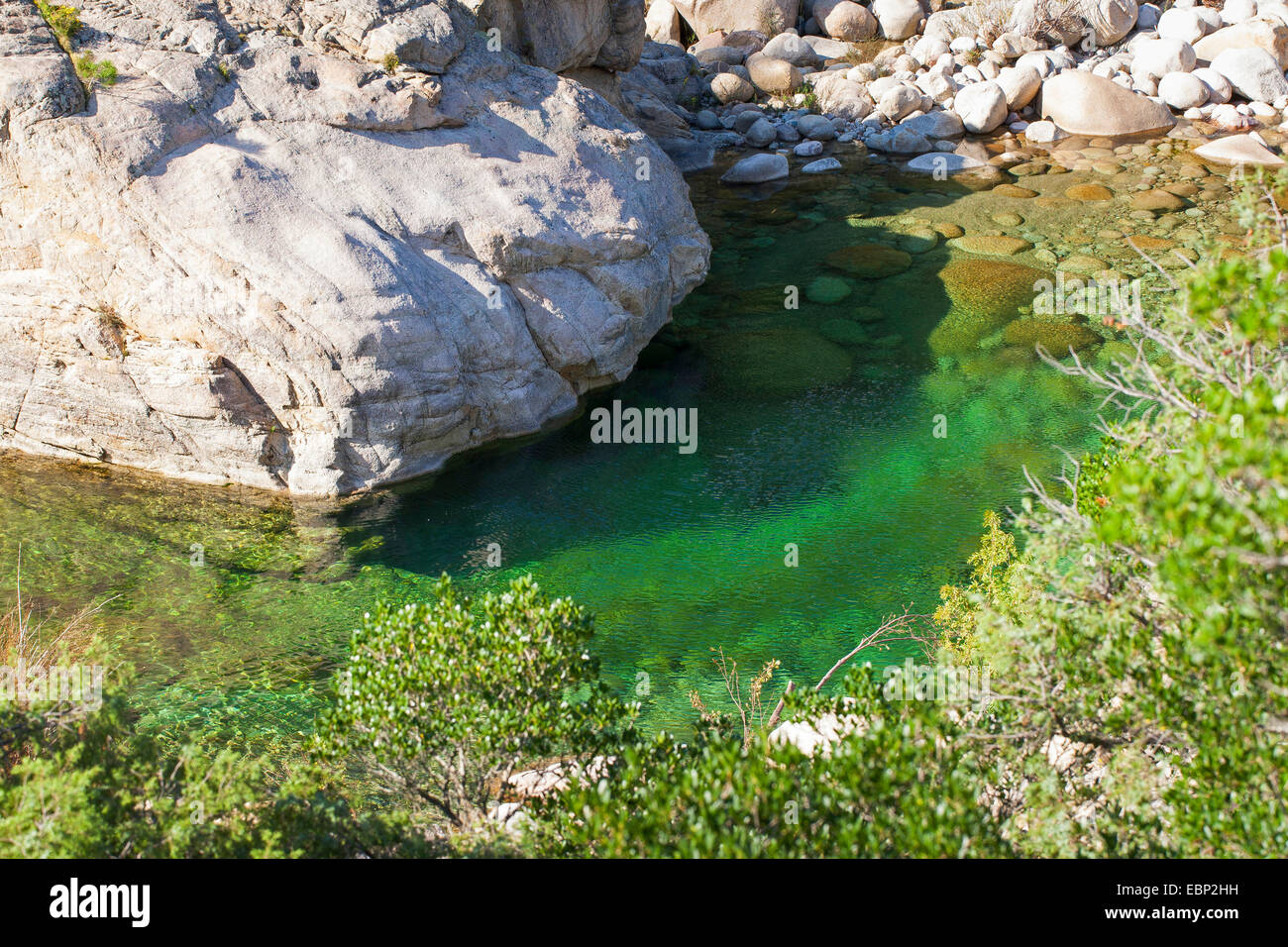 Crystal Clear Mountain Creek in Corsica, Francia, Corsica Foto Stock