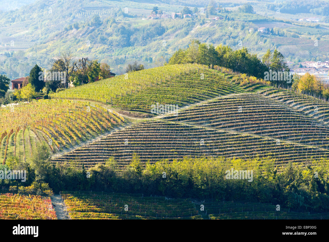 L'Italia,panorama di vigneti del Piemonte: Langhe-Roero e Monferrato nella Lista del Patrimonio Mondiale UNESCO Foto Stock