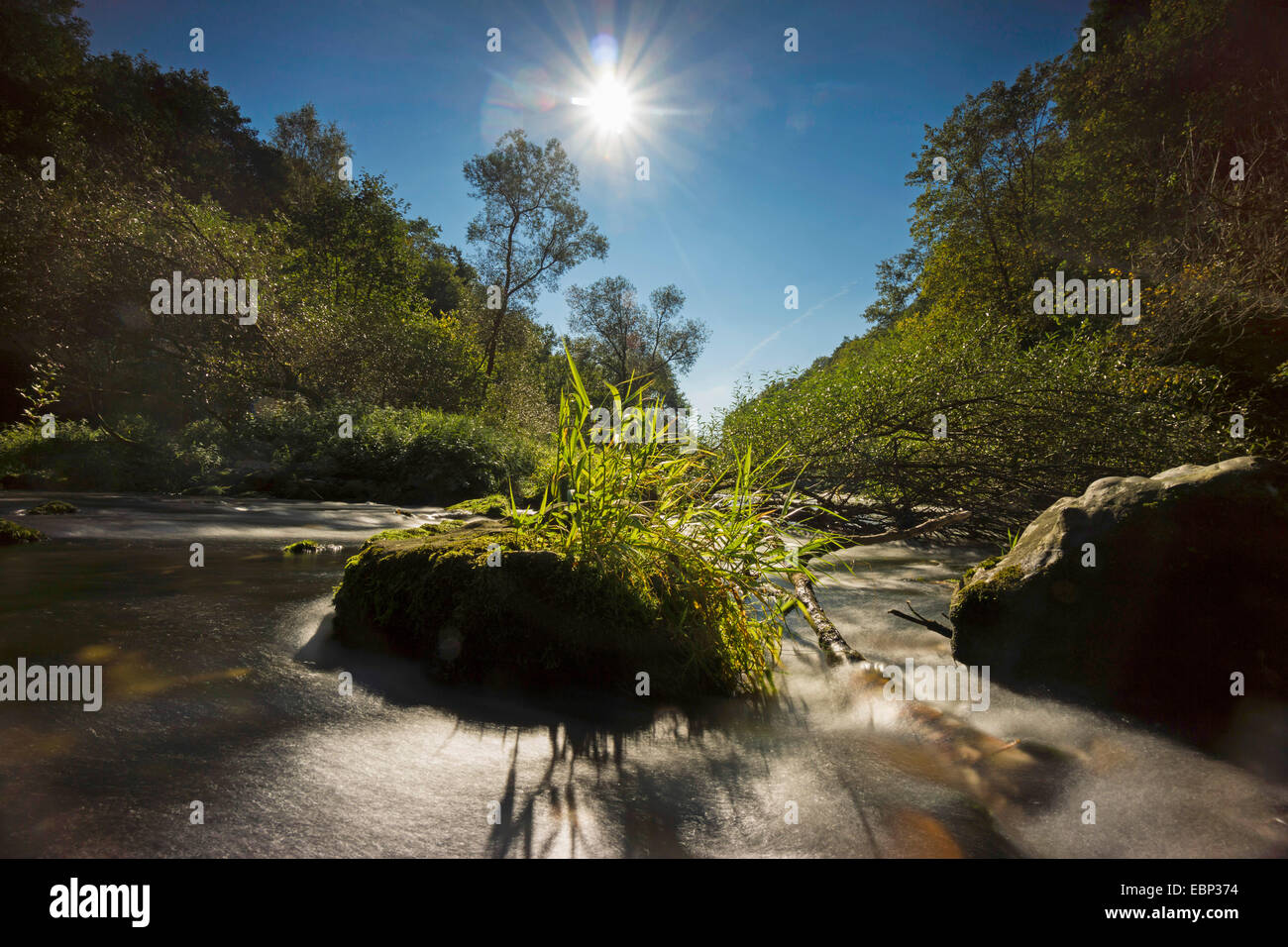 Weisse Elster Creek, in Germania, in Sassonia, Vogtland, Jocketa Foto Stock