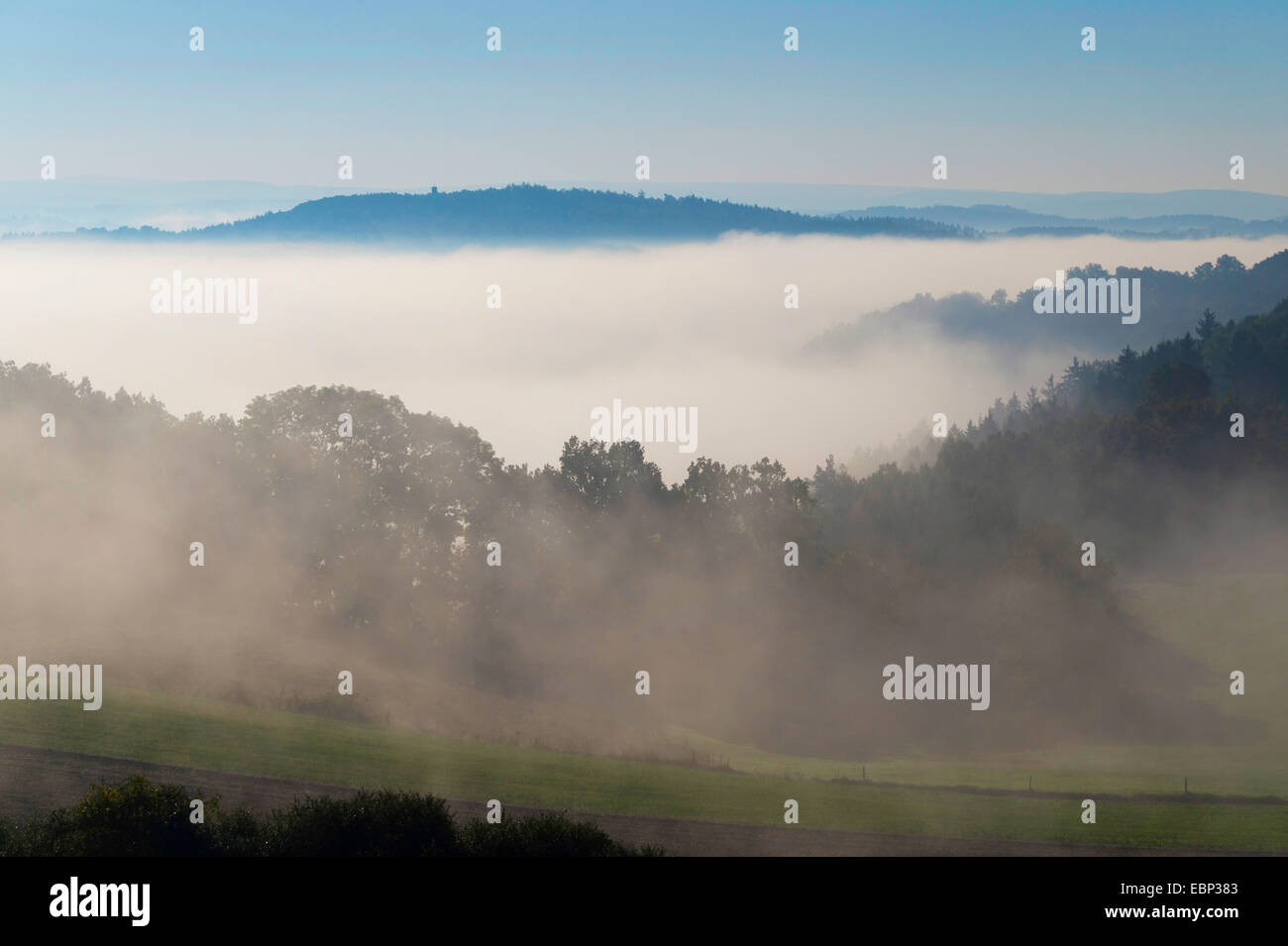Triebtal valle nella nebbia mattutina, in Germania, in Sassonia, Vogtland, Jocketa Foto Stock