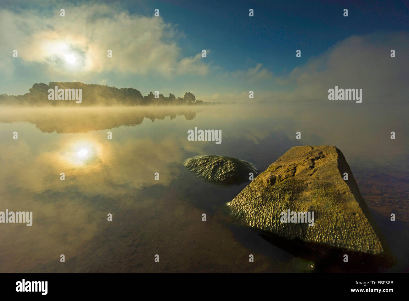 Storage Poehl lago nella nebbia mattutina di sunrise, in Germania, in Sassonia, Vogtland, Talsperre Poehl Foto Stock
