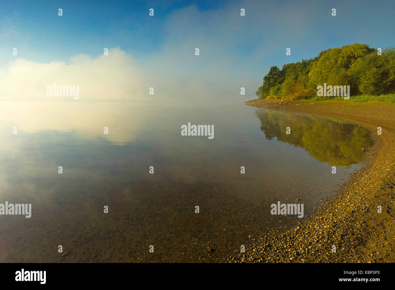 Storage Poehl lago nella nebbia mattutina, in Germania, in Sassonia, Vogtland Foto Stock