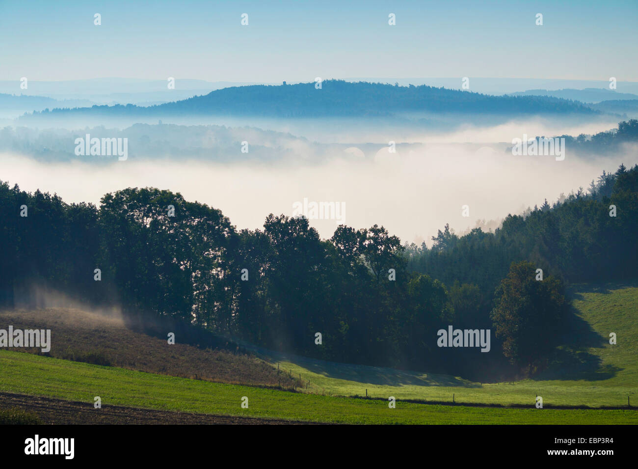 Triebtal valle nella nebbia mattutina, in Germania, in Sassonia, Vogtland, Jocketa Foto Stock