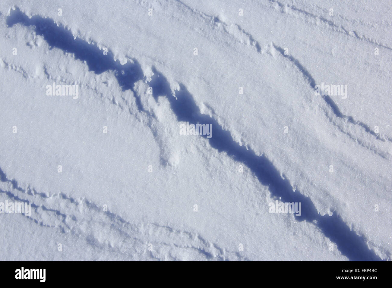 Neve, Svizzera Foto Stock