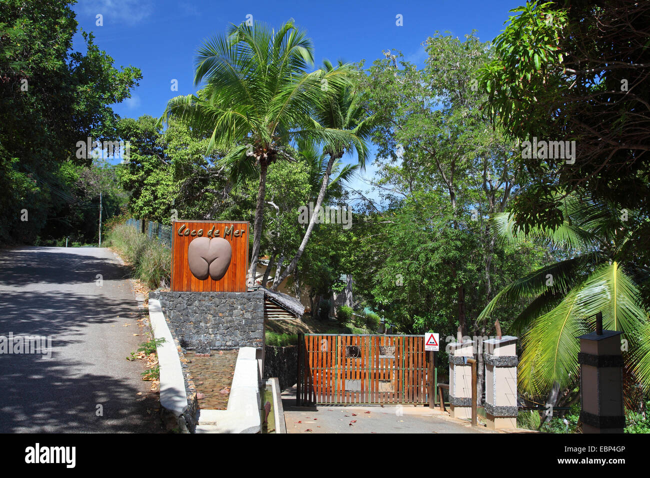 Il coco de mer, doppia (cocco Lodoicea maldivica), Hotel Coco de Mer a lungo la costa sud occidentale, Seychelles, Praslin Foto Stock