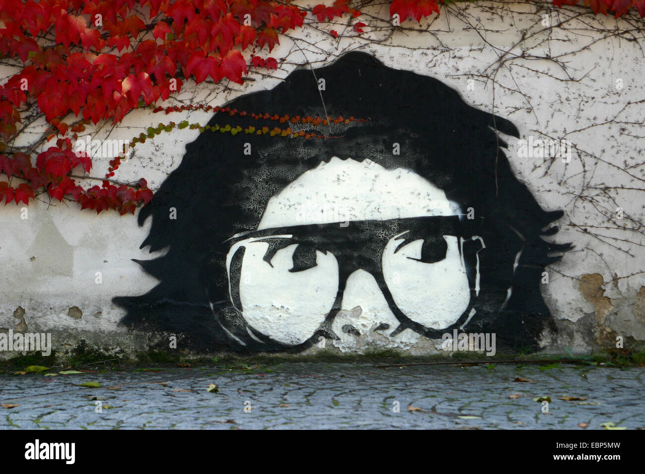 Graffiti, dimezzare la faccia con gli occhiali Foto Stock