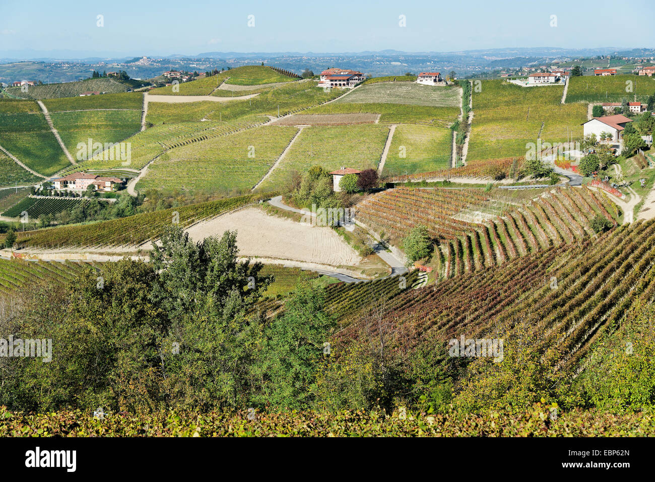 L'Italia,panorama di vigneti del Piemonte: Langhe-Roero e Monferrato nella Lista del Patrimonio Mondiale UNESCO Foto Stock
