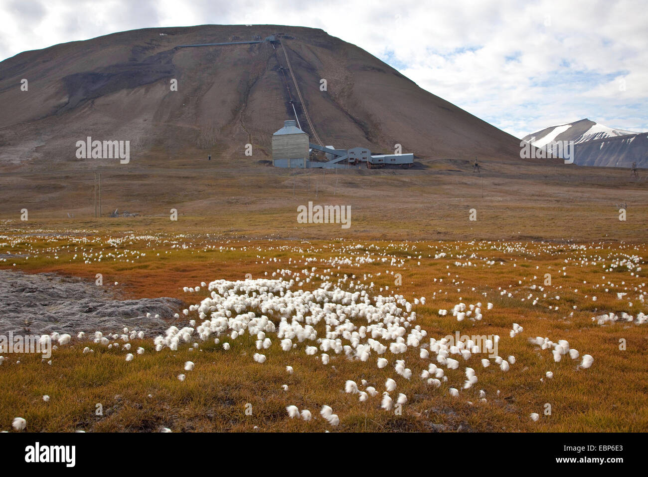 Miniera di carbone nella tundra paesaggio, Norvegia Isole Svalbard, Longyaerbyen Foto Stock