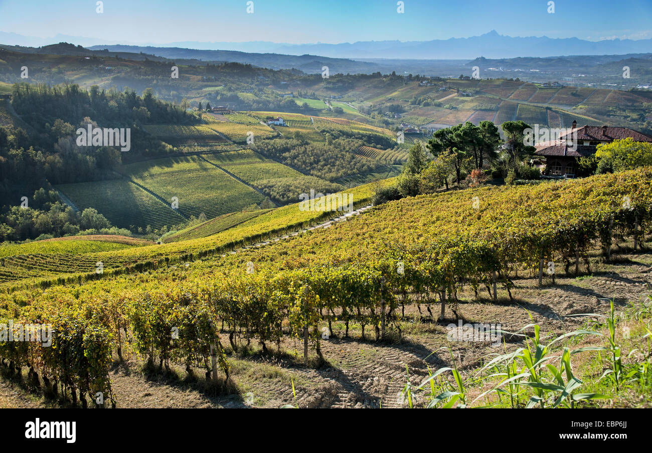L'Italia,panorama di vigneti del Piemonte: Langhe-Roero e Monferrato nella Lista del Patrimonio Mondiale UNESCO Foto Stock