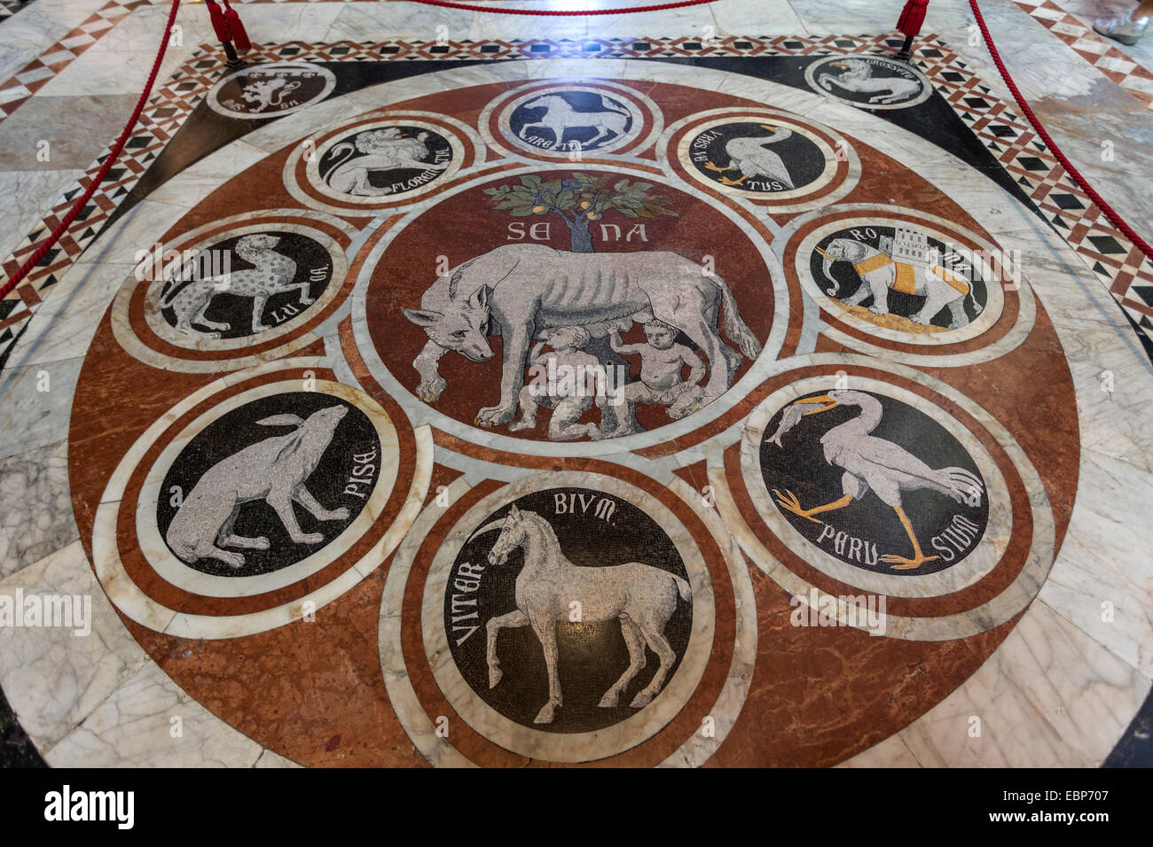 La Lupa senese, il mosaico pavimentale nella Cattedrale di Siena, Duomo di Siena, Toscana, Italia Foto Stock