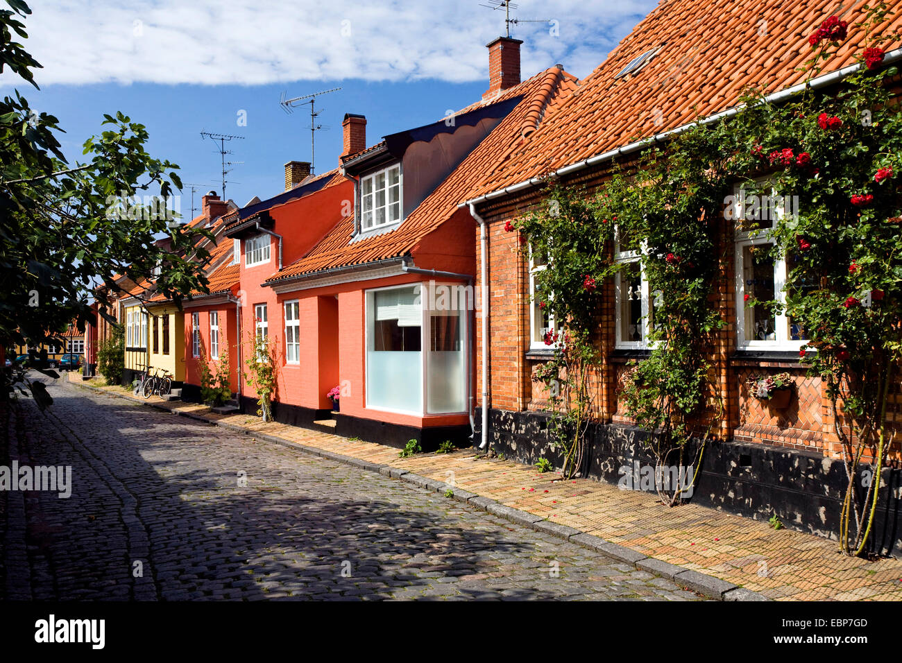Vicolo pittoresco, Danimarca, Bornholm Roenne Foto Stock