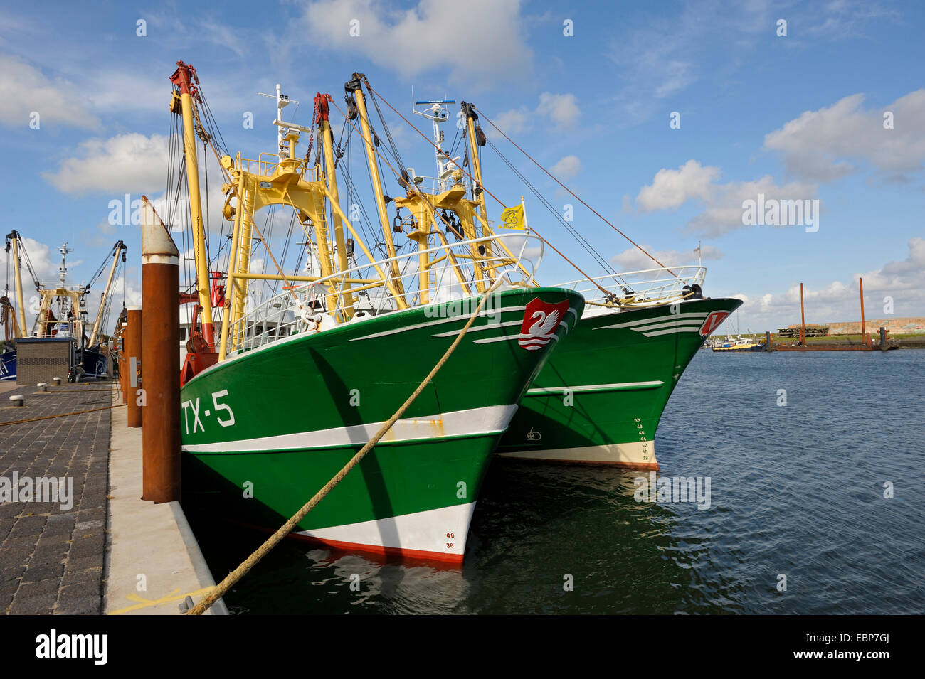 La pesca delle navi in porto, Paesi Bassi, Paesi Bassi del Nord, Paesi Bassi, Texel Foto Stock