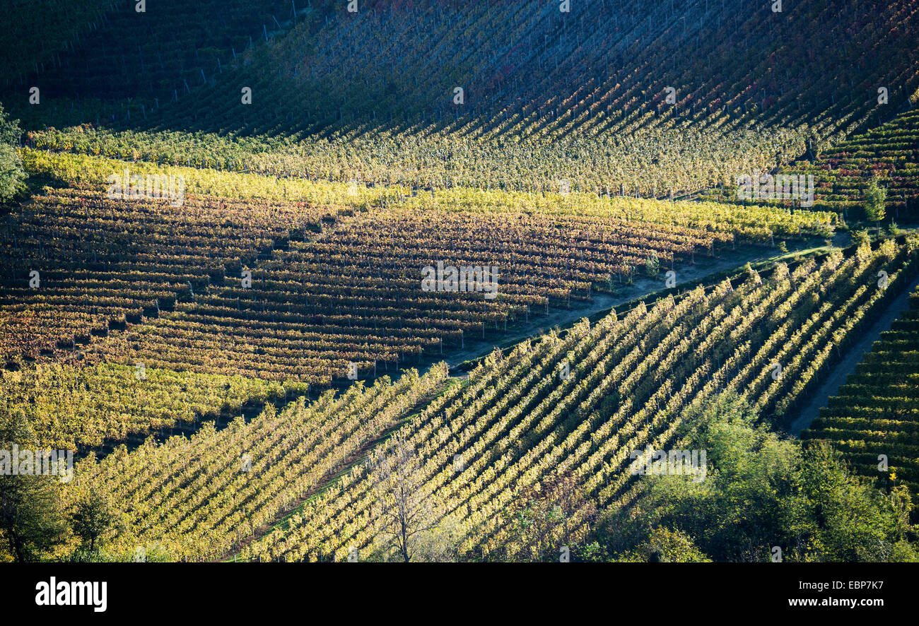 L'Italia,panorama di vigneti del Piemonte: Langhe-Roero e Monferrato nella Lista del Patrimonio Mondiale UNESCO Foto Stock