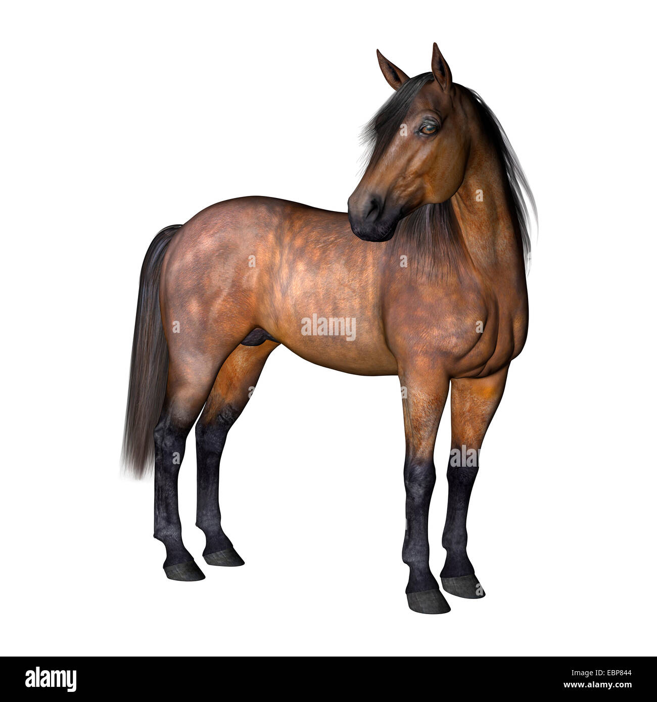 3D render digitale di un cavallo isolato su sfondo bianco Foto Stock