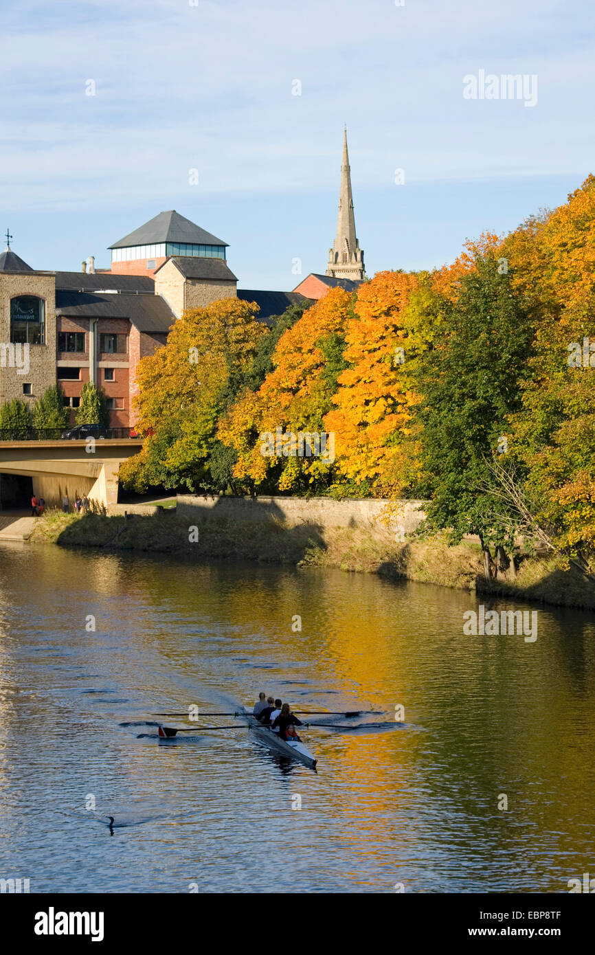 Durham, County Durham, Inghilterra. Vista lungo il fiume usura, autunno, femmina vogatori in formazione. Foto Stock