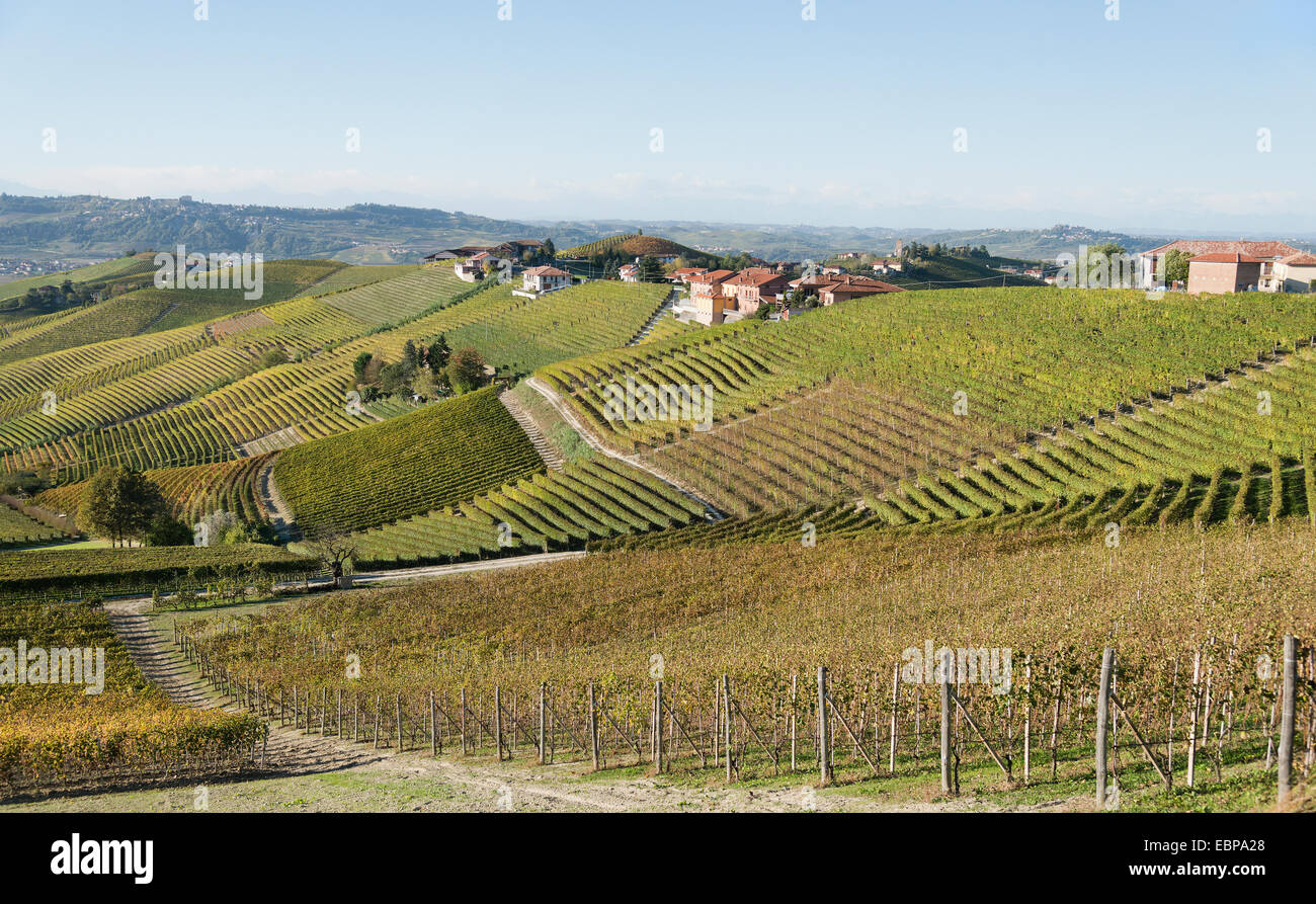 L'Italia,panorama di vigneti del Piemonte: Langhe-Roero e Monferrato nella Lista del Patrimonio Mondiale UNESCO Foto Stock