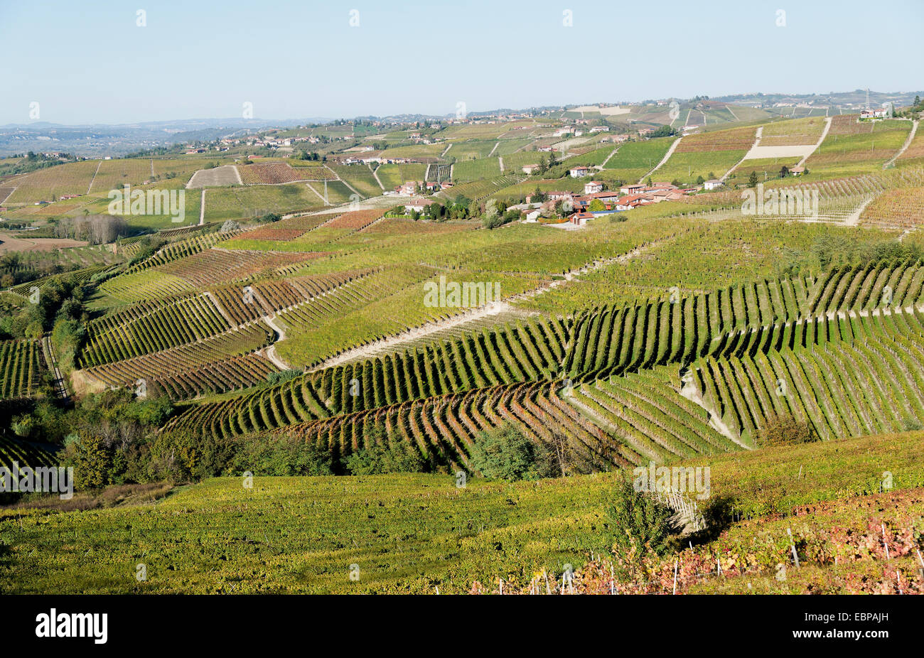 L'Italia,panorama di vigneti del Piemonte: Langhe-Roero e Monferrato nella Lista del Patrimonio Mondiale UNESCO Foto Stock