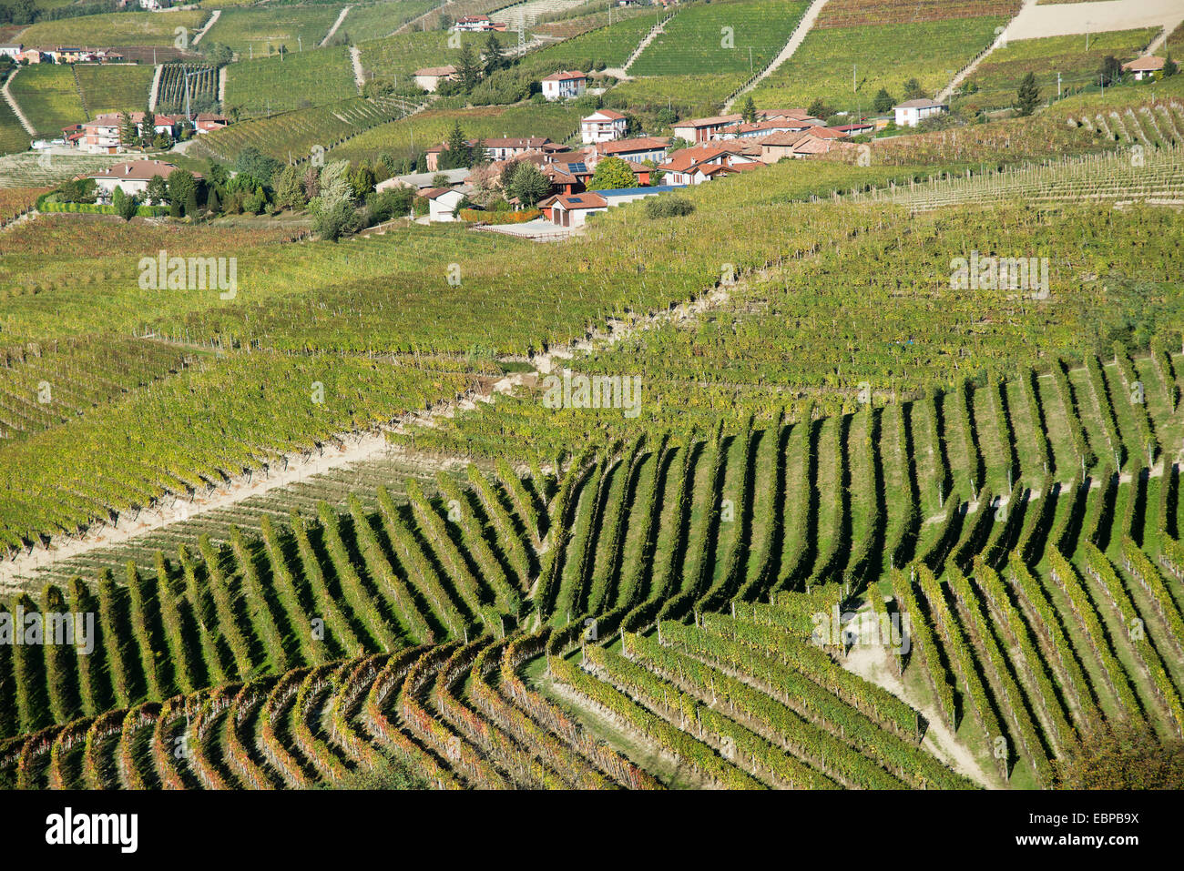 L'Italia,panorama di vigneti del Piemonte: Langhe-Roero e Monferrato nella Lista del Patrimonio Mondiale UNESCO Foto Stock