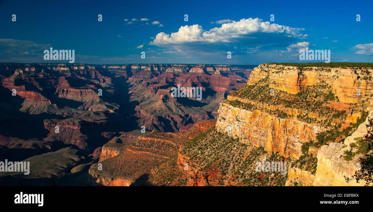 Le formazioni rocciose in un canyon, il Grand Canyon, il Parco Nazionale del Grand Canyon, Arizona, Stati Uniti d'America Foto Stock