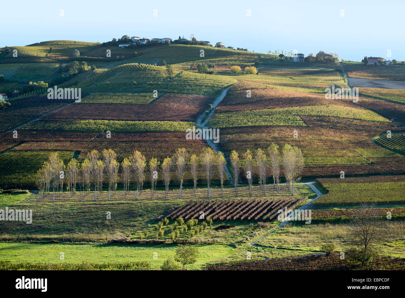 L'Italia,panorama di vigneti del Piemonte: Langhe-Roero e Monferrato nella Lista del Patrimonio Mondiale UNESCO Foto Stock