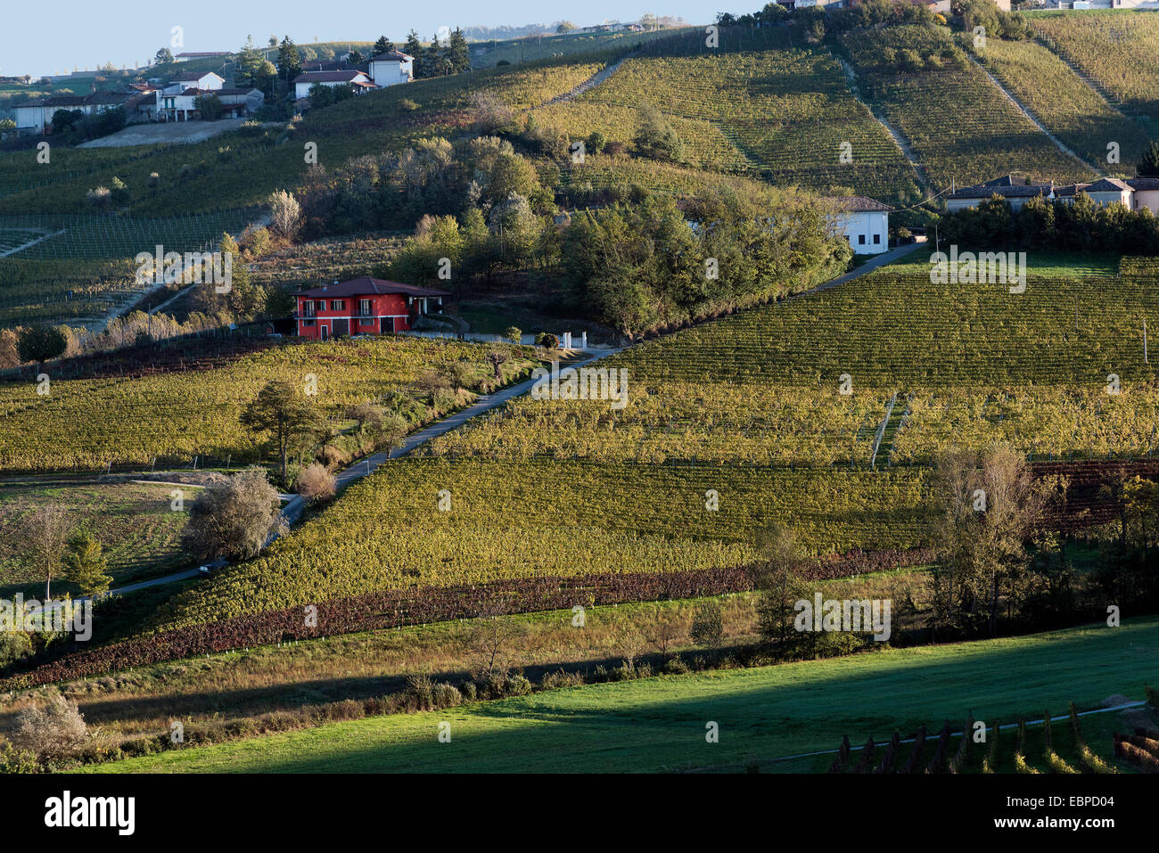 L'Italia,panorama di vigneti del Piemonte: Langhe-Roero e Monferrato nella Lista del Patrimonio Mondiale UNESCO Foto Stock