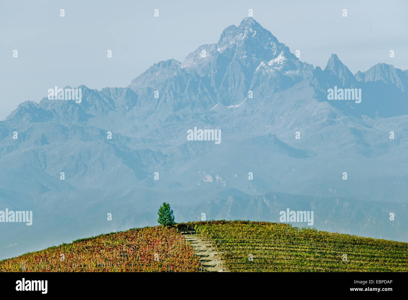 L'Italia,panorama di vigneti del Piemonte: Langhe-Roero e Monferrato nella Lista del Patrimonio Mondiale UNESCO Foto Stock