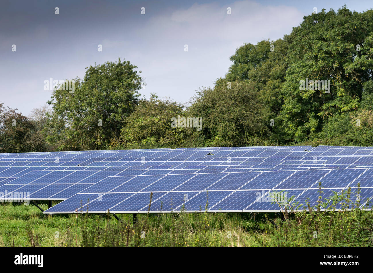 Foto-voltaico a pannelli solari Chelworth Array, Wiltshire, Inghilterra. Foto Stock