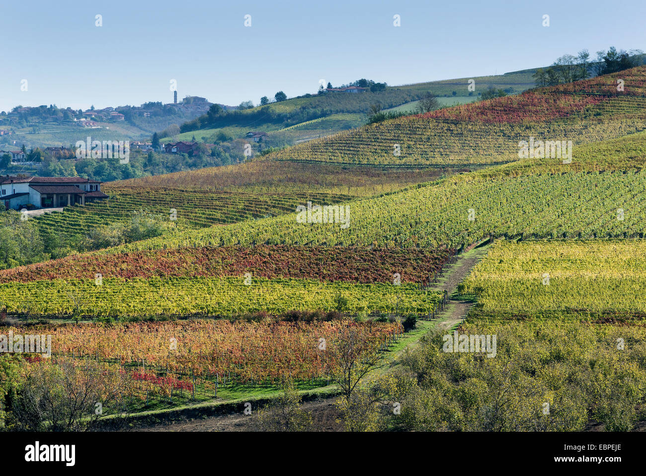 L'Italia,panorama di vigneti del Piemonte: Langhe-Roero e Monferrato nella Lista del Patrimonio Mondiale UNESCO Foto Stock