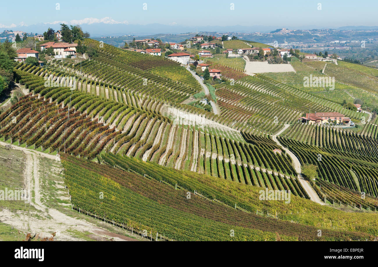 L'Italia,panorama di vigneti del Piemonte: Langhe-Roero e Monferrato nella Lista del Patrimonio Mondiale UNESCO Foto Stock