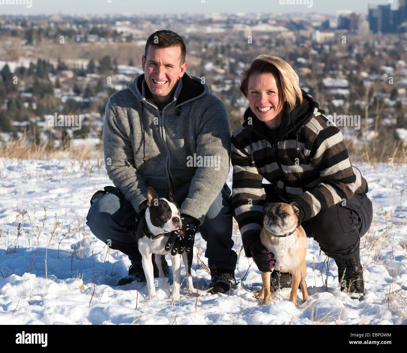 Coppia con i cani da compagnia Boston Terrier e Bugg (croce tra Boston Terrier e Pug) che si godono la natura insieme nel parco cittadino Foto Stock