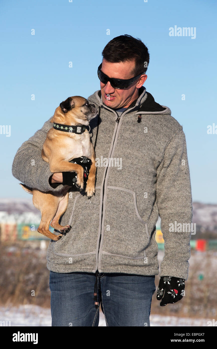 Uomo che tiene il suo cane Bugg (croce tra Boston Terrier e Pug) mentre cammina fuori nel parco cittadino Foto Stock