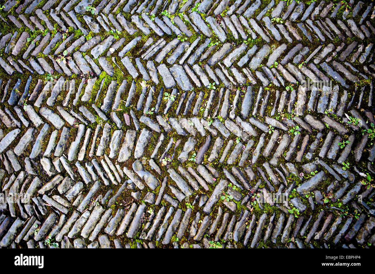 Vecchia strada, pavimentazione con un disegno a spina di pesce, Germania, Europa, Alter Weg, Pflasterung Fischgrätmuster im, Deutschland, Europa Foto Stock