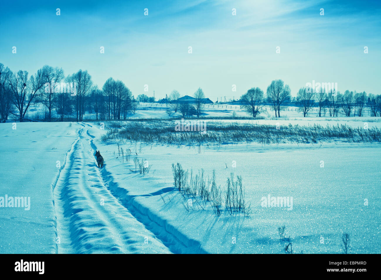 Inverno campo nevoso. Tonificazione blu Foto Stock