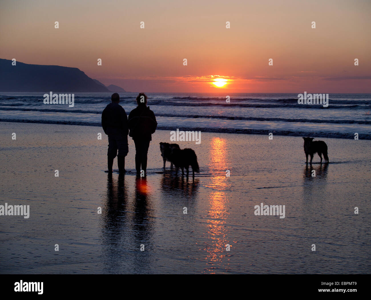 Giovane con cani a guardare il tramonto sul mare, Widemouth Bay, Bude, Cornwall, Regno Unito Foto Stock