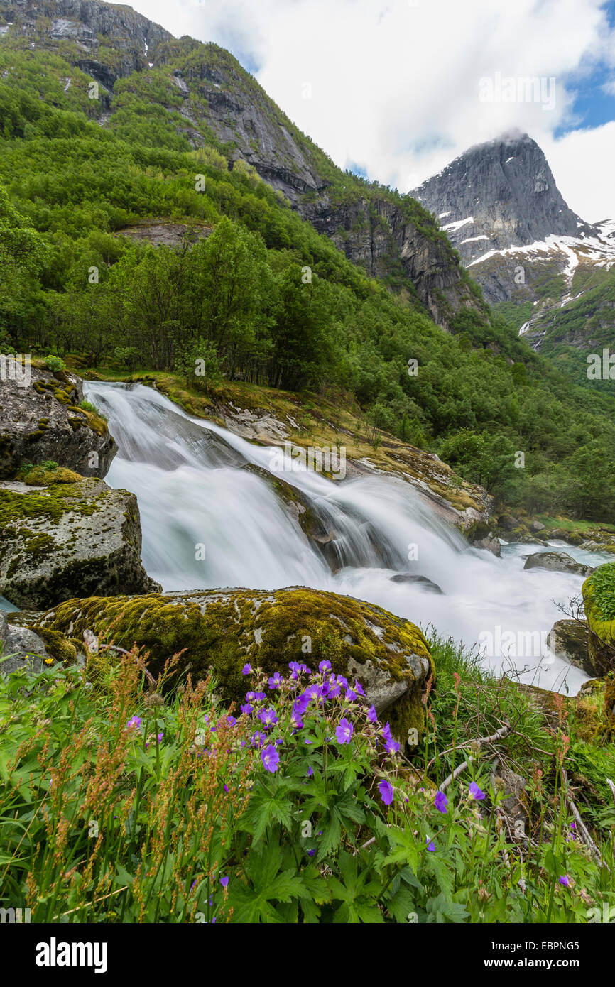 Rallentare la velocità dello shutter setosa acqua del fiume anticato come esso scorre lungo Briksdalen, Olden, Nordfjord, Norvegia, Scandinavia, Europa Foto Stock