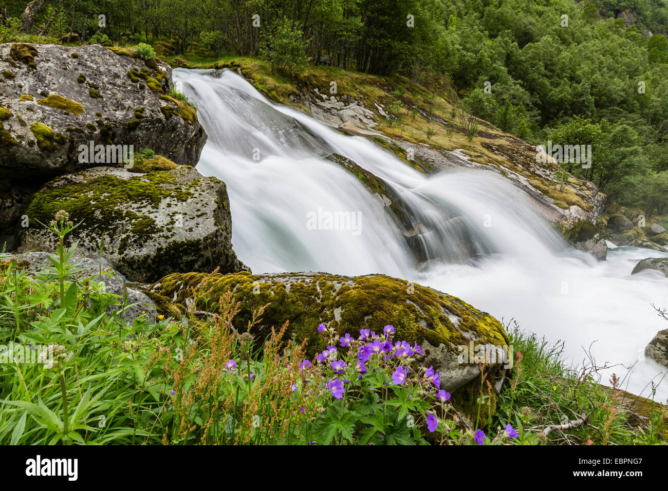 Rallentare la velocità dello shutter setosa acqua del fiume anticato come esso scorre lungo Briksdalen, Olden, Nordfjord, Norvegia, Scandinavia, Europa Foto Stock