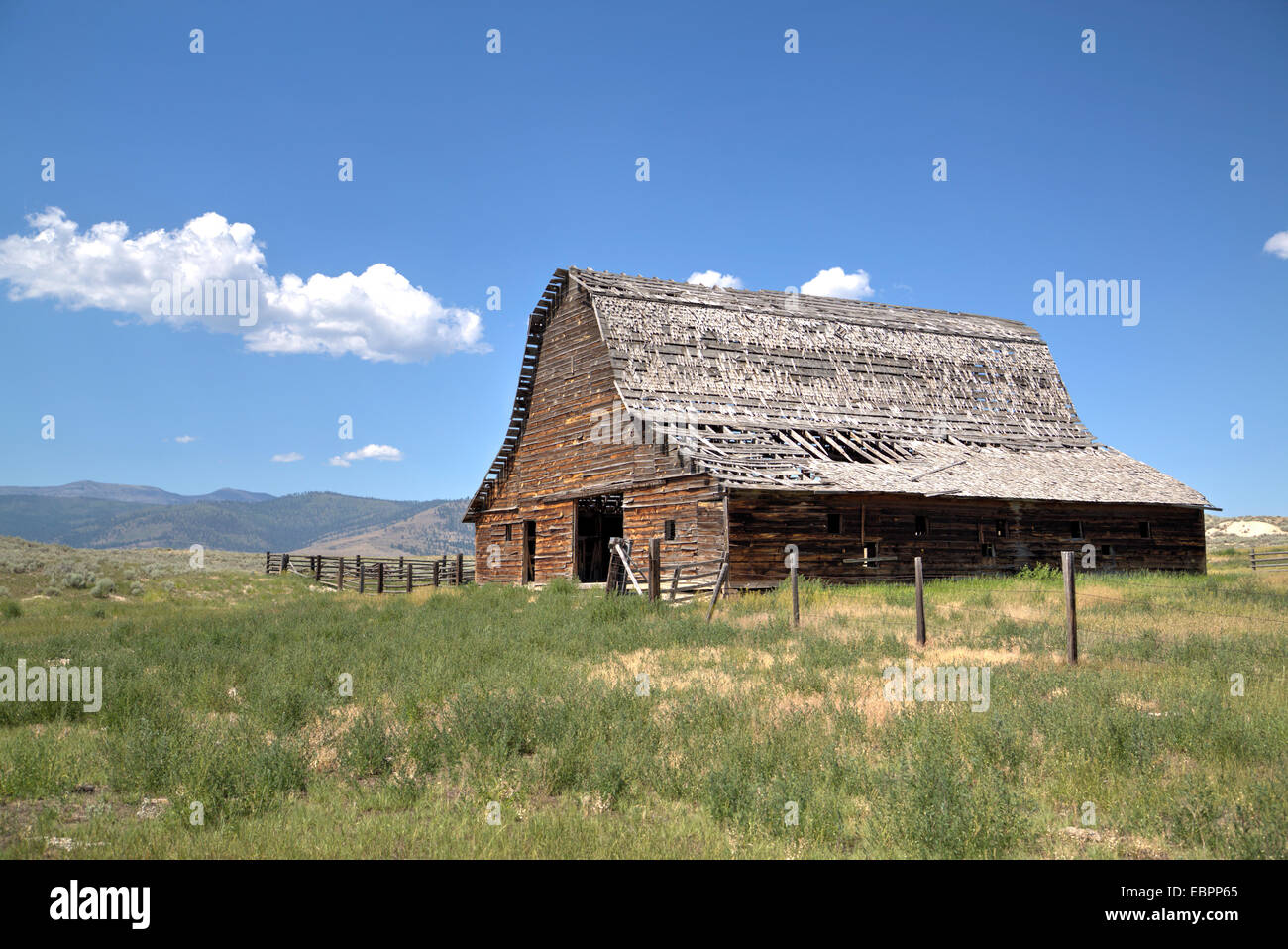 Il vecchio fienile risalenti a circa 1890s, a ovest del Parco Nazionale di Glacier, Montana, Stati Uniti d'America, America del Nord Foto Stock