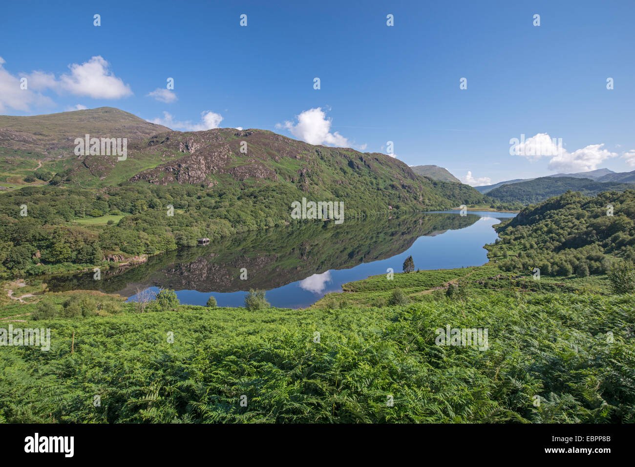 Vista su Llyn Dinas, Snowdonia, Galles Foto Stock