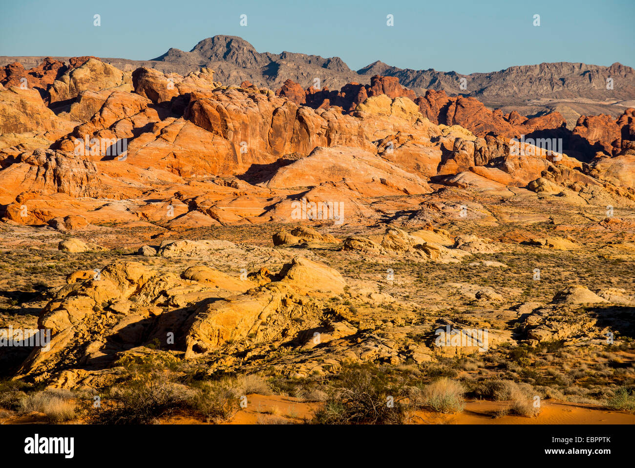 Vista sulla redrock formazioni arenarie in il Parco della Valle di Fire State, Nevada, Stati Uniti d'America, America del Nord Foto Stock