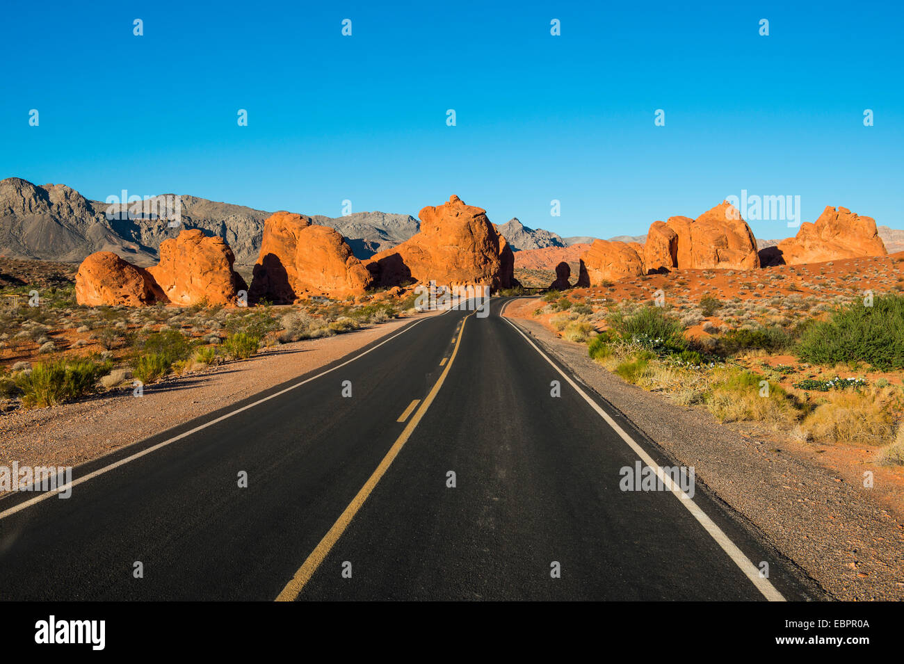 Strada che conduce nel redrock formazioni arenarie della Valle di Fire State Park, Nevada, Stati Uniti d'America Foto Stock